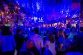17. Januar 2014233916DSC_5262